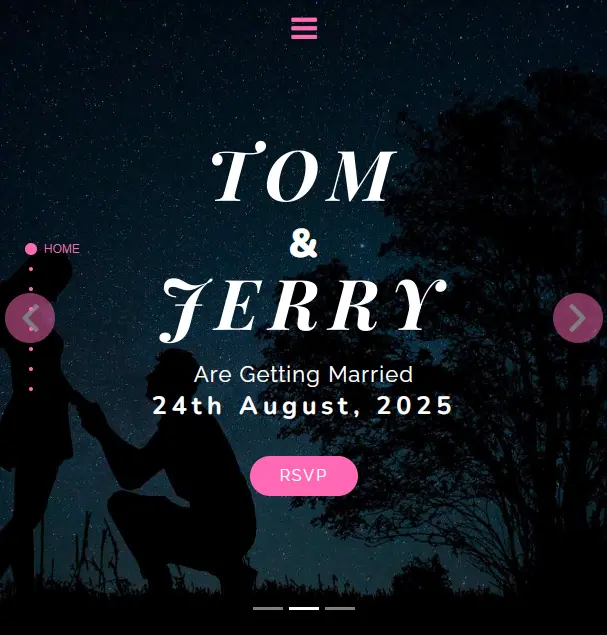 wedding-party-website-template-2